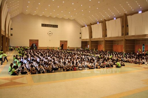 MCT041 Copy.JPG